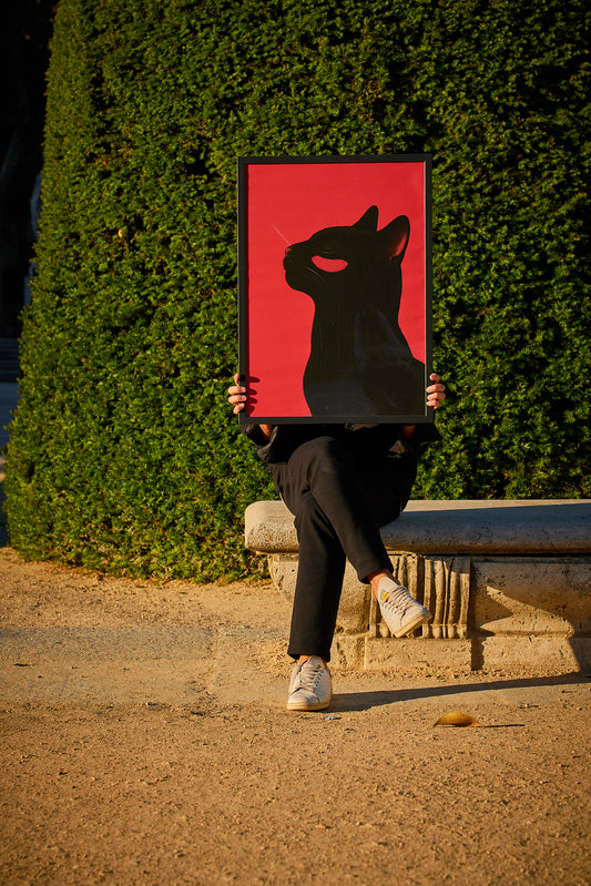 A Red Cat